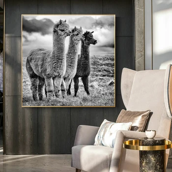Moda Alb-Negru de Alpaca Poster Animal Panza Pictura Postere si Printuri de Arta de Perete de Imagine Pentru Camera de zi Decor Modern