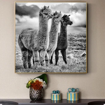 Moda Alb-Negru de Alpaca Poster Animal Panza Pictura Postere si Printuri de Arta de Perete de Imagine Pentru Camera de zi Decor Modern